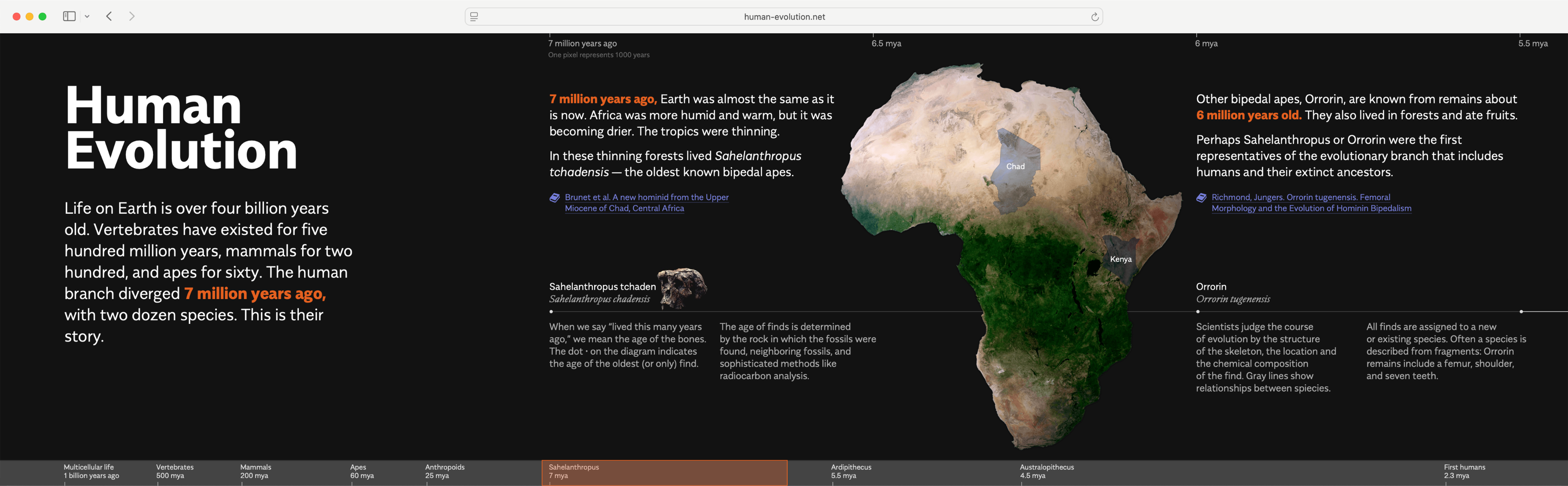 “Human Evolution“ Project